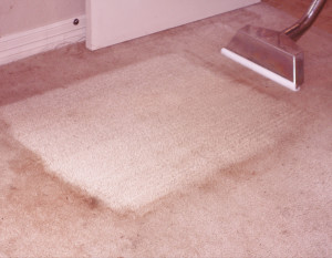 carpet cleaners Cypress